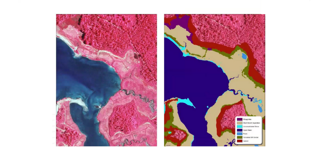High-resolution mapping is crucial for accurate assessment of North Carolina’s coastal wetlands changes.