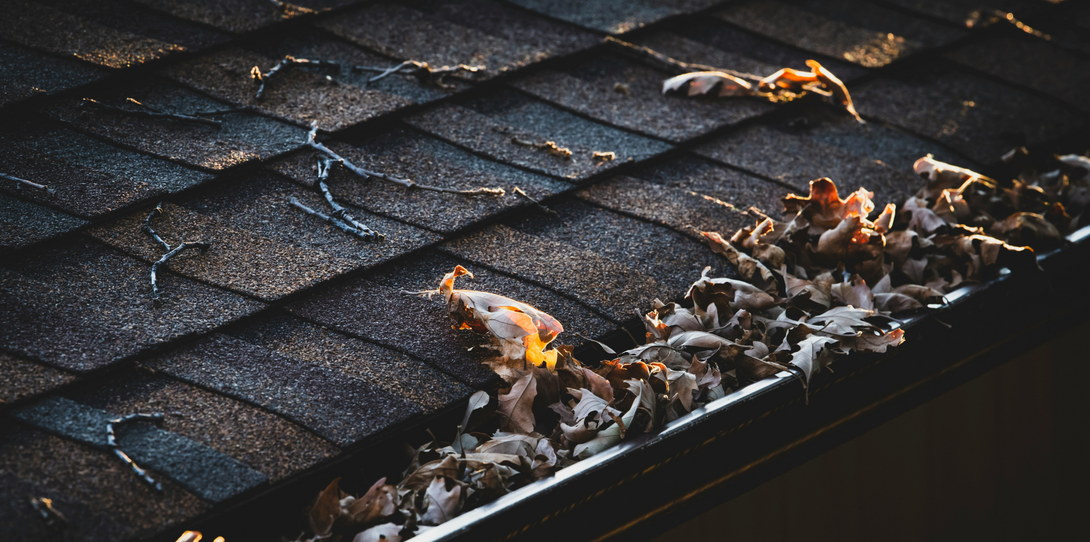 Carriers can share property risk insights to encourage simple actions, like cleaning gutters, that are easy steps homeowners can take to reduce their risk and protect their property.