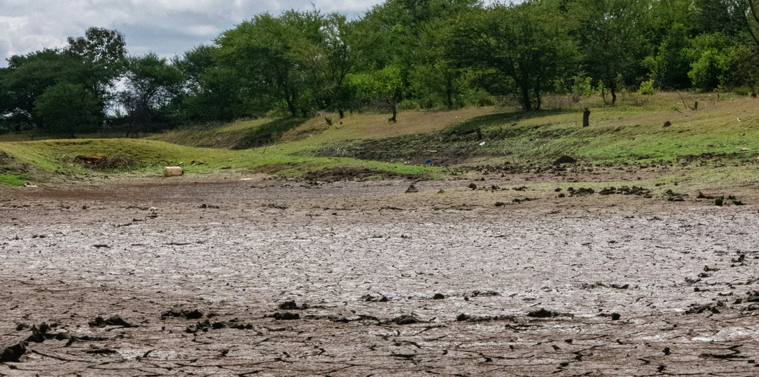 Soil erosion poses a significant threat to cropland, reducing soil fertility and diminishing agricultural productivity.