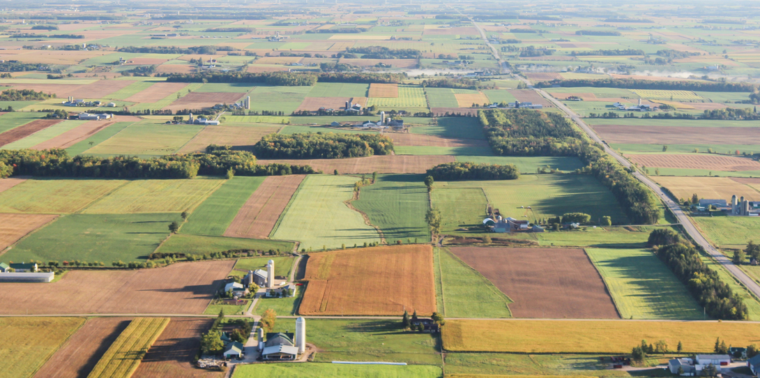 Ecopia's new agricultural land use layers can differentiate between developed open space, wild grass, pasture, and cultivated crops.