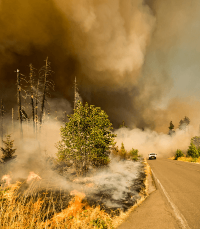 The Importance of High-Precision Geolocation in Wildfire Risk Estimation